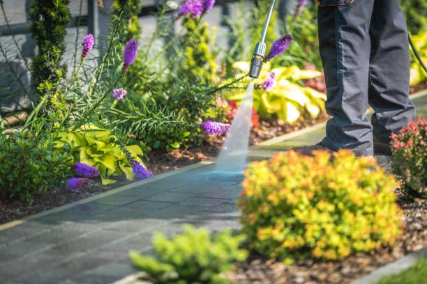 Best Driveway Pressure Washing  in Hilltop, MN